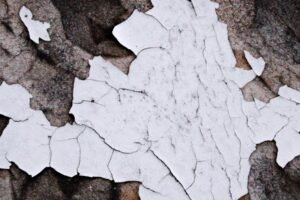 Read more about the article Découvrez Nos Services de Peinture et Décoration en Charente-Maritime
